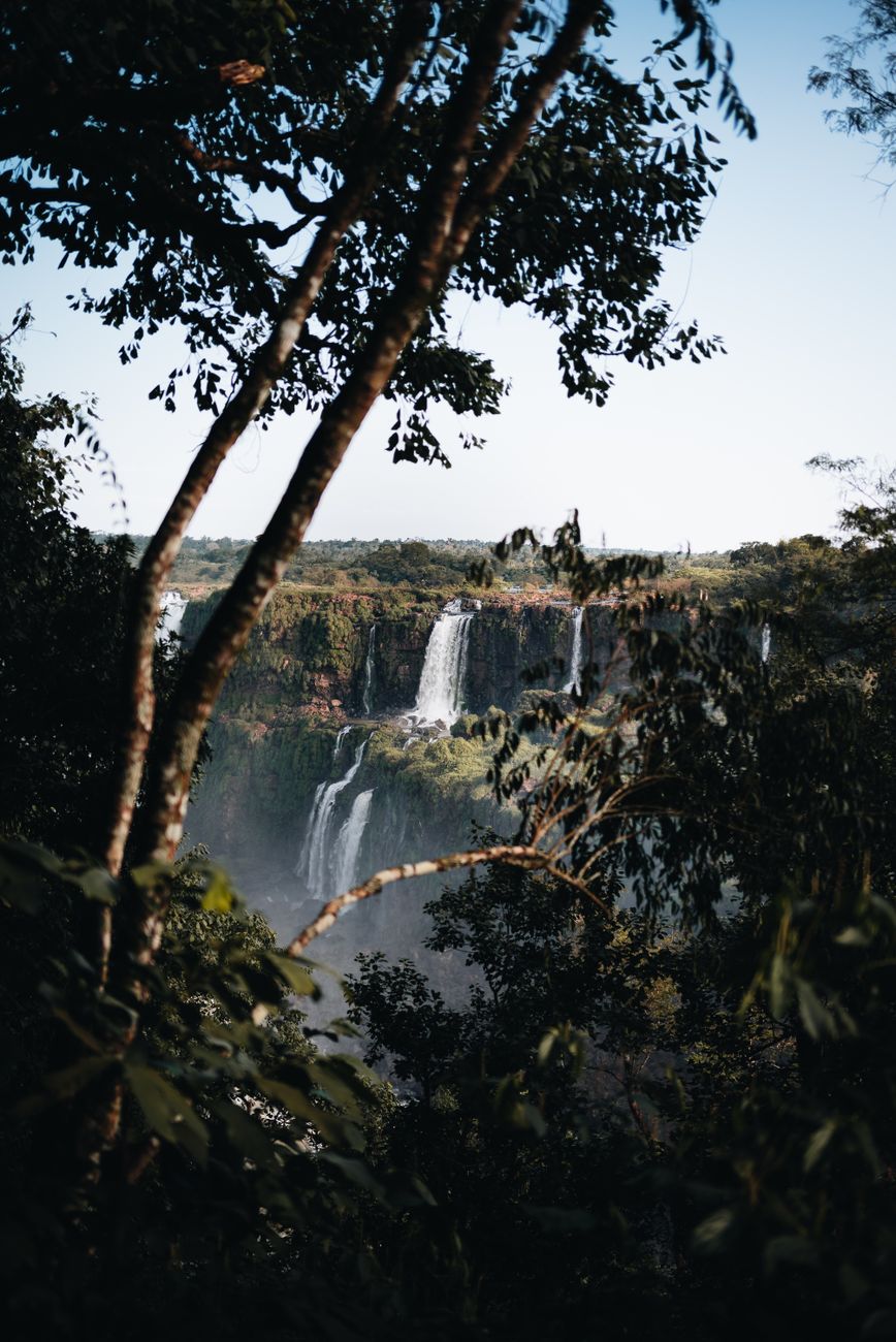 Cataratas del Iguazú y selva misionera